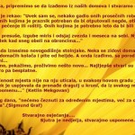 yellow_flower_wallpaper_flowers_nature_wallpaper_1920_1200_widescreen_1406
