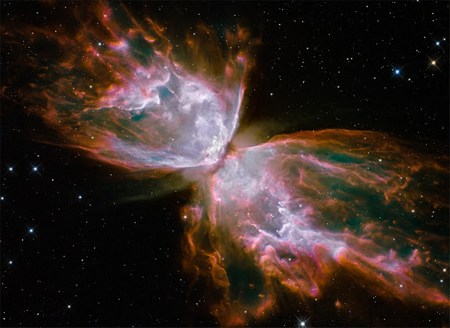 butterfly nebula
