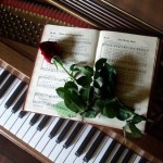 cimg5129-rose-on-music-book-on-piano-q85-500×375