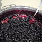 Domaća borovnica sa Komova